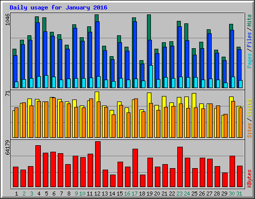 Daily usage for January 2016