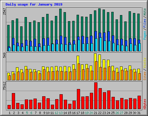 Daily usage for January 2019