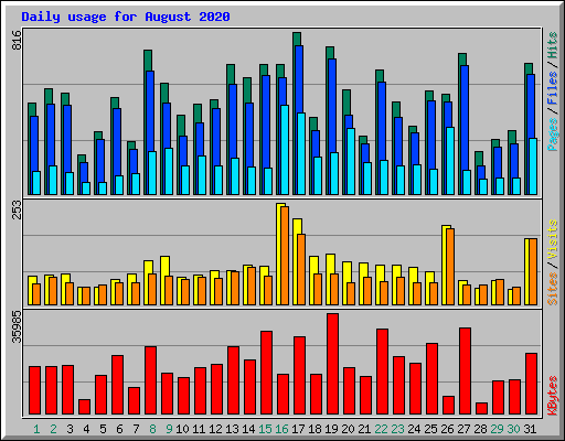Daily usage for August 2020