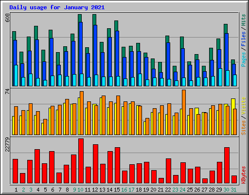 Daily usage for January 2021