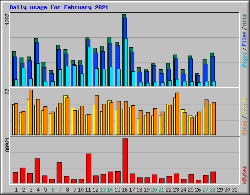 Daily usage for February 2021