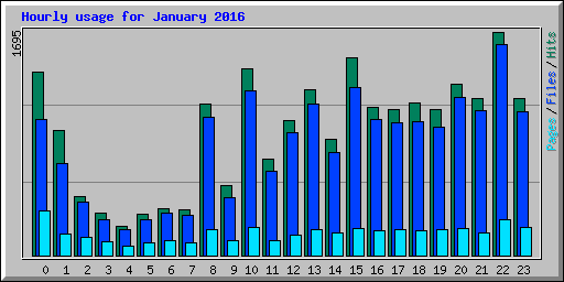Hourly usage for January 2016