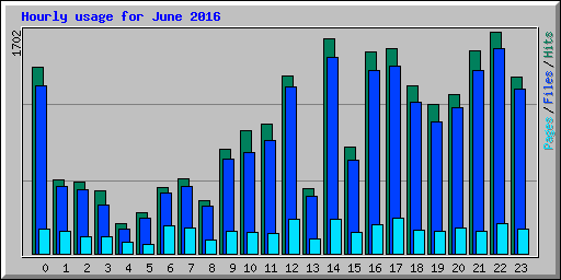 Hourly usage for June 2016