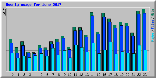 Hourly usage for June 2017