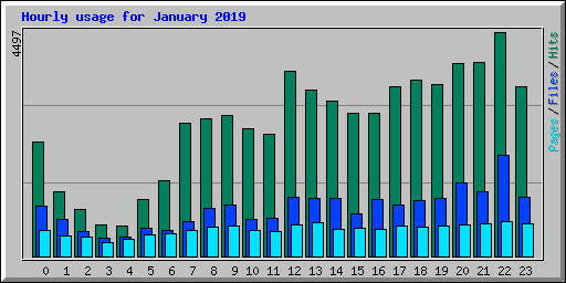 Hourly usage for January 2019