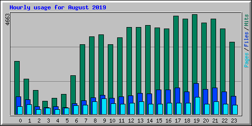 Hourly usage for August 2019