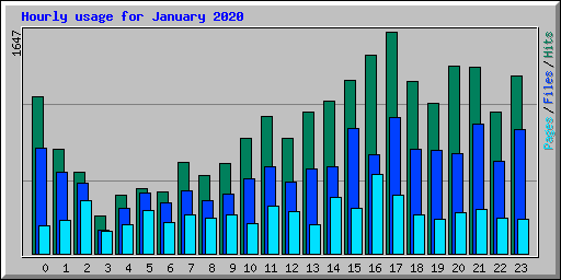 Hourly usage for January 2020