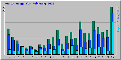 Hourly usage for February 2020