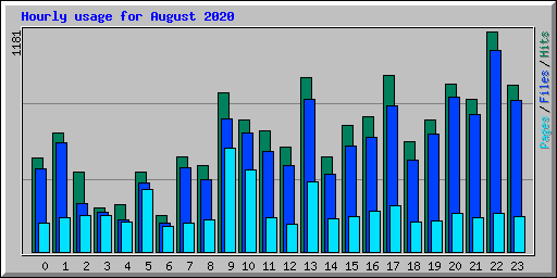 Hourly usage for August 2020