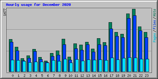 Hourly usage for December 2020