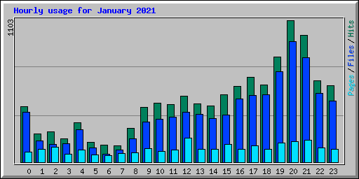 Hourly usage for January 2021