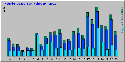 Hourly usage for February 2021