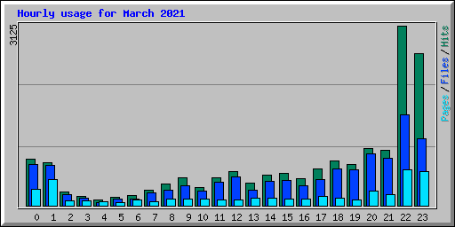 Hourly usage for March 2021