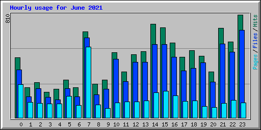 Hourly usage for June 2021