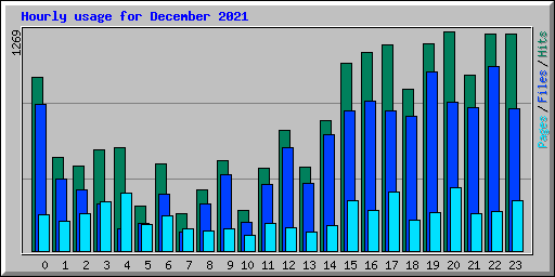 Hourly usage for December 2021