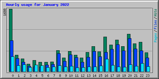 Hourly usage for January 2022