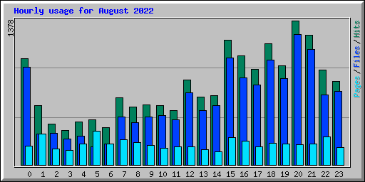 Hourly usage for August 2022