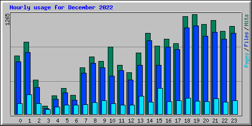 Hourly usage for December 2022