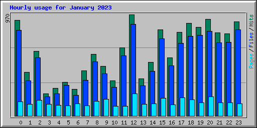 Hourly usage for January 2023